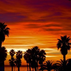 Meet your Posher, Carole